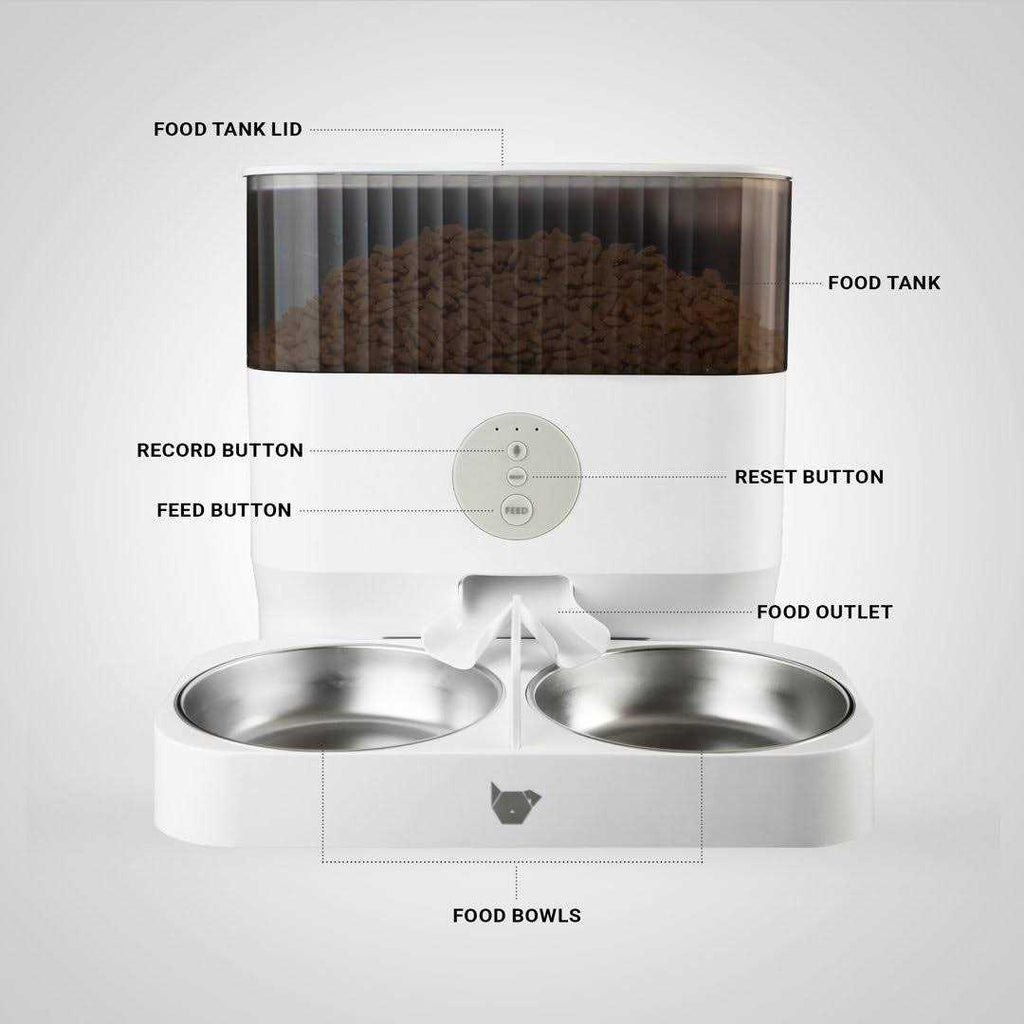 Automatic Pet Feeder Y505873