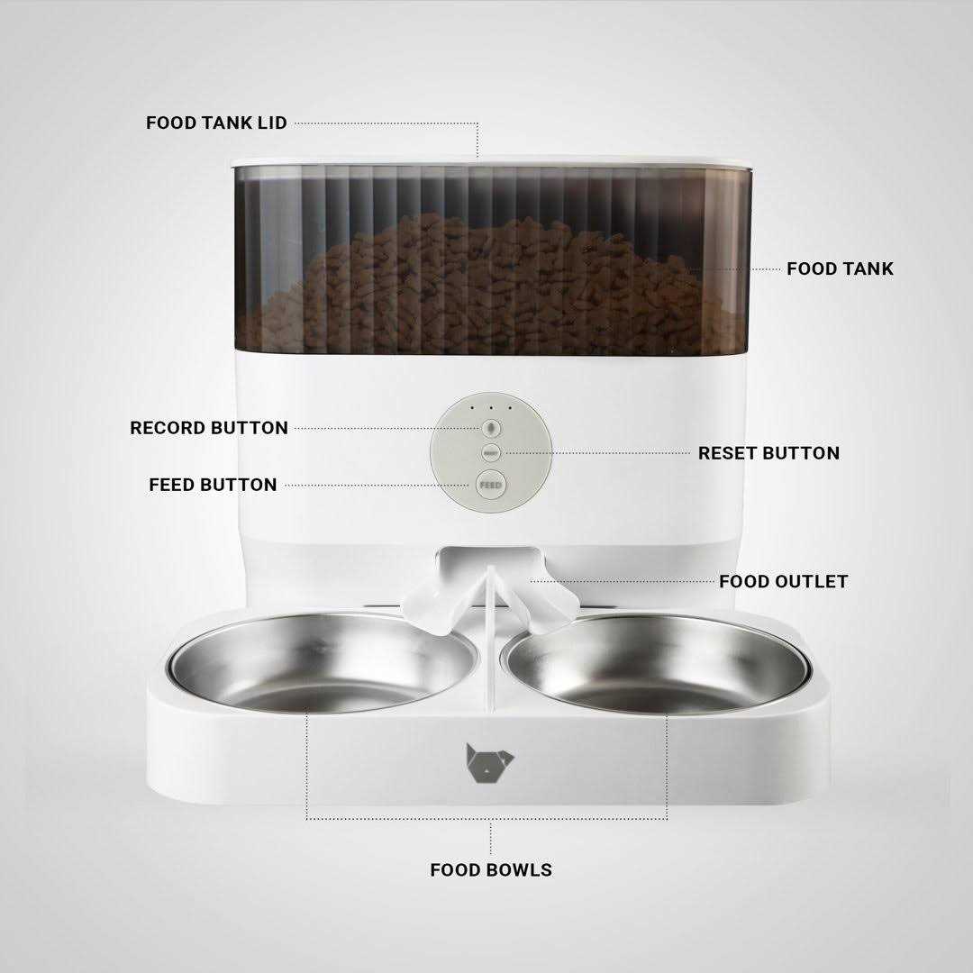 Automatic Pet Feeder Y505873