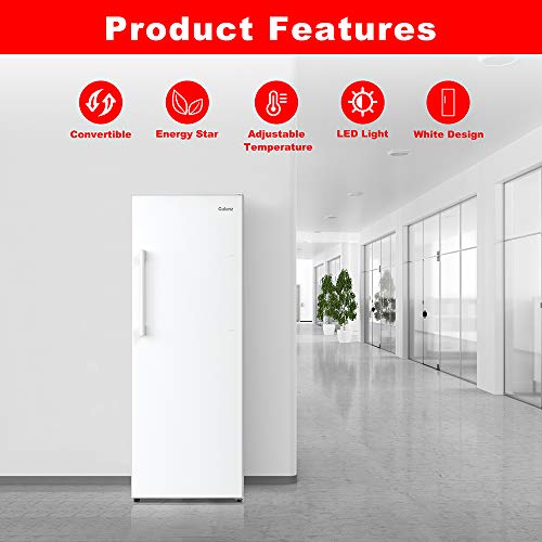 Convertible Freezer/Fridge R51082