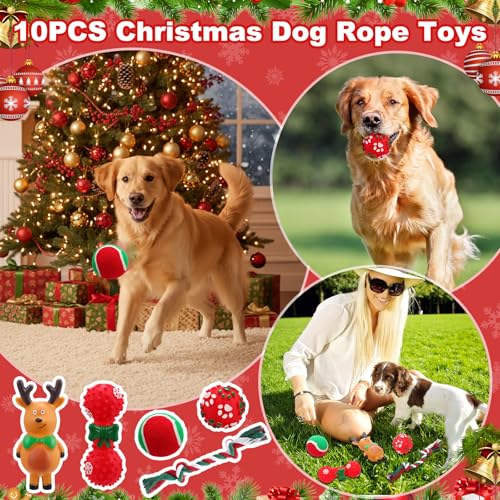 11 Pcs Christmas Catnip Cat Toy Gift Set with Santa Snowman Plush Balls Crinkle Mice L5906