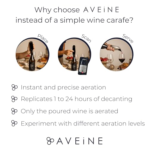Electric Wine Aerator H177