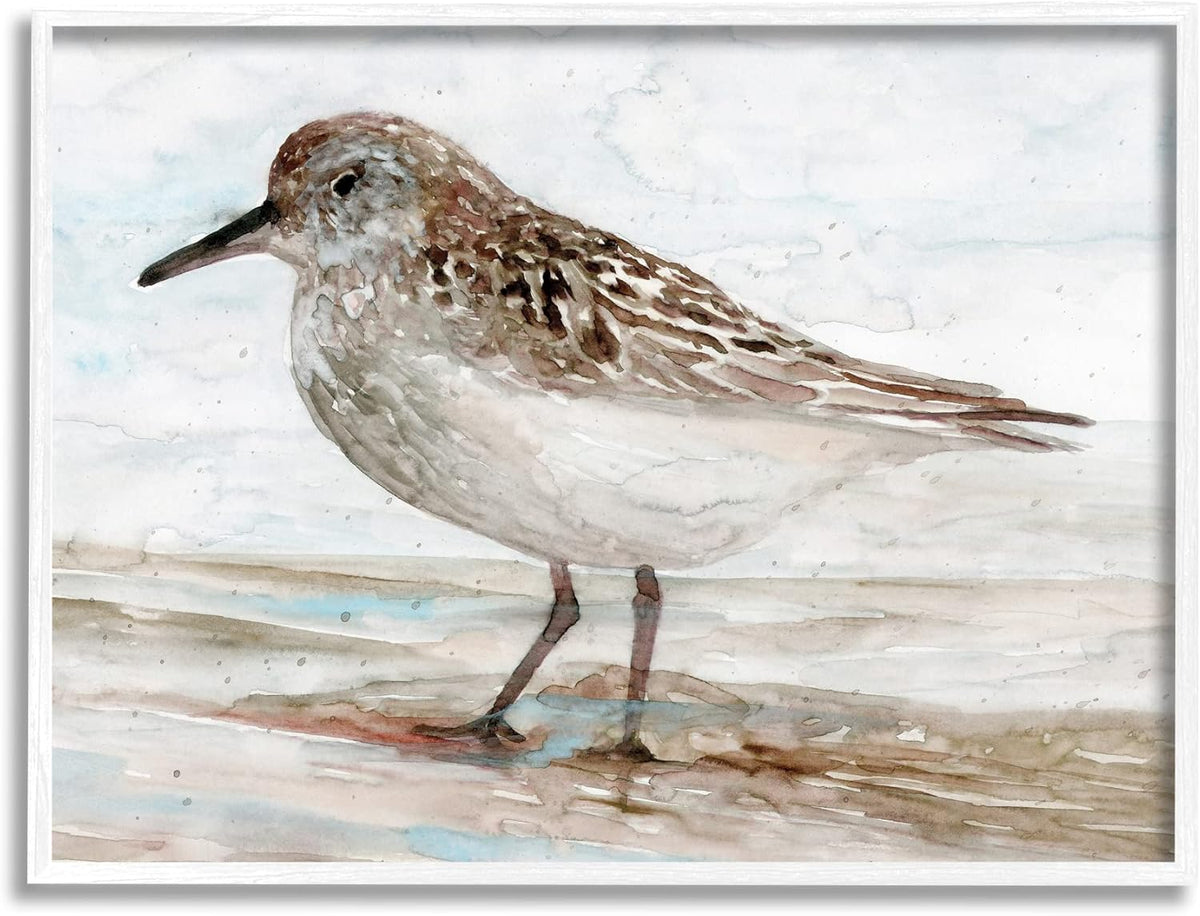Sandpiper Painting Speckled Feather Beach Bird Nautical Coast White Framed Wall Art, 30 x 24 W60976