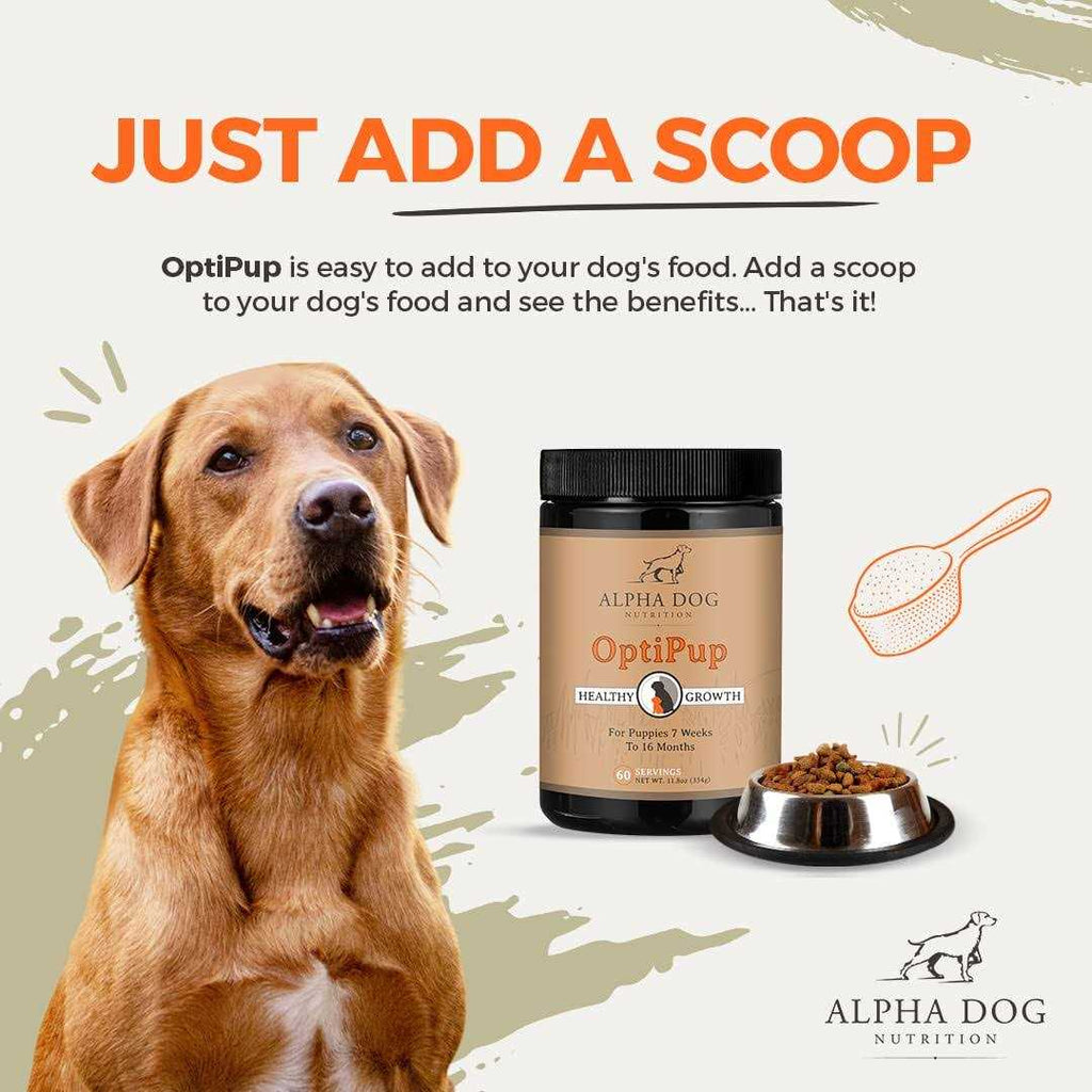Puppy Multivitamin & Probiotic U993998