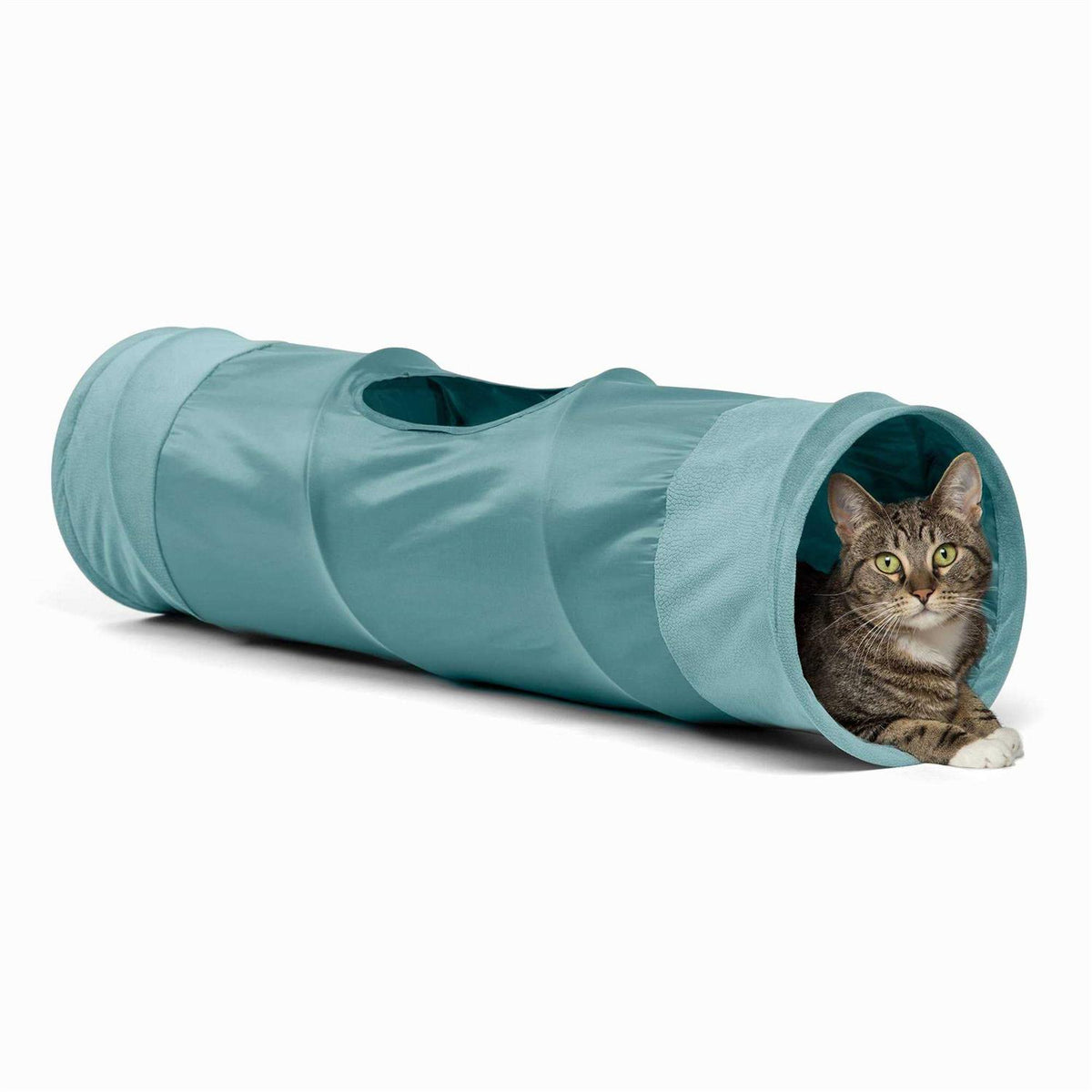 Cat Tunnel I1729