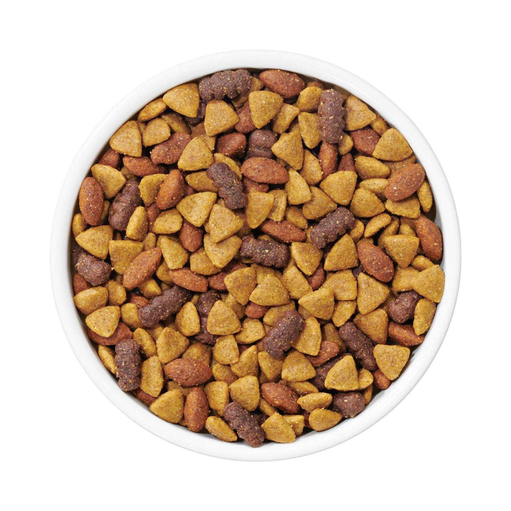 Complete Adult Dry Dog Food K267474