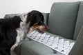 Large Clear Couch Guard Furniture Protectors M989
