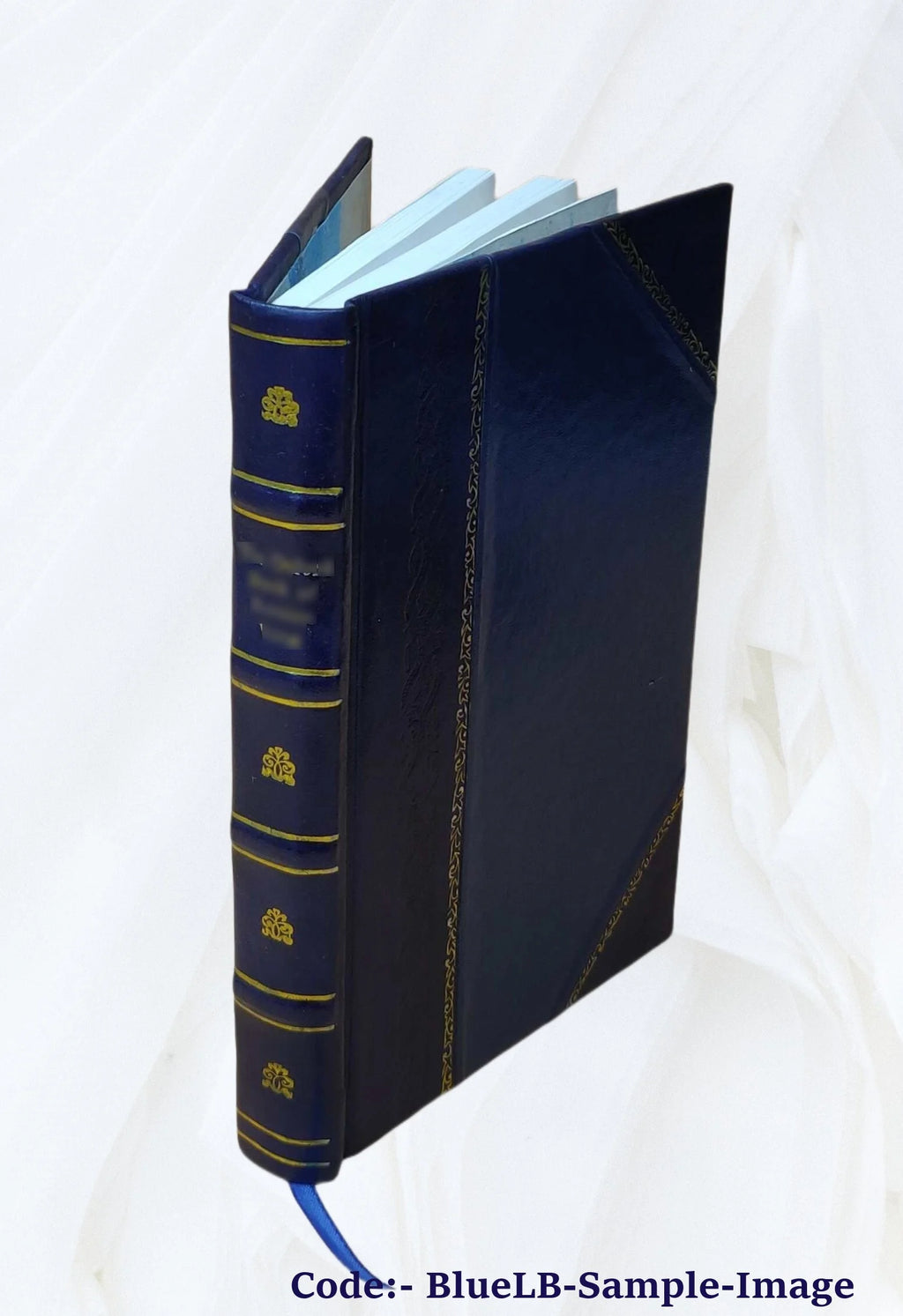 On land and sea with Caesar; or, Following the eagles 1926 Leather Bound U8727