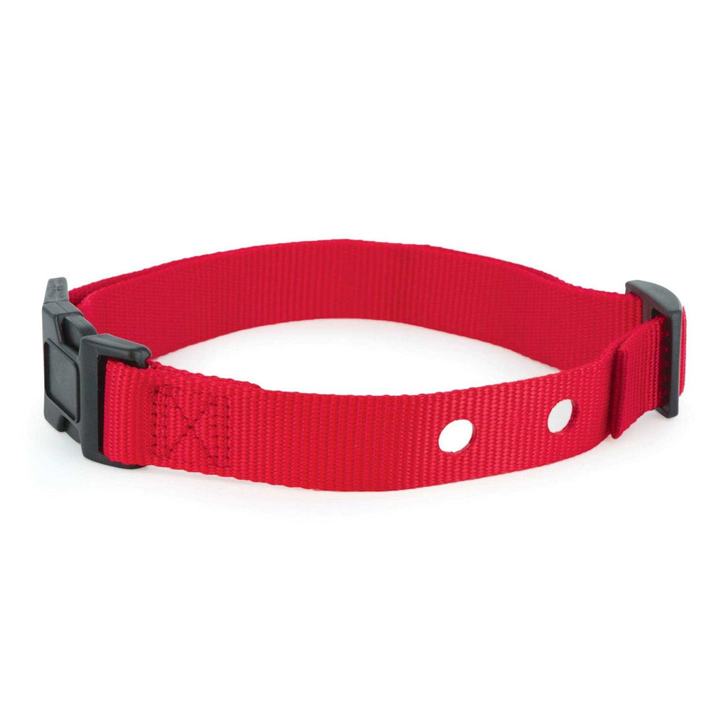 1 Inch Replacement Collar Strap U4464