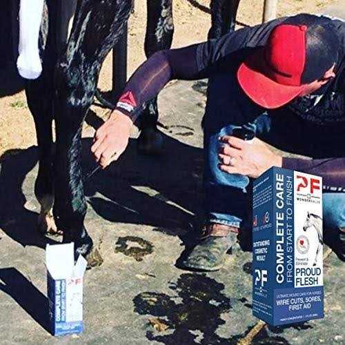 Equine Wound Paste 2 oz H98634
