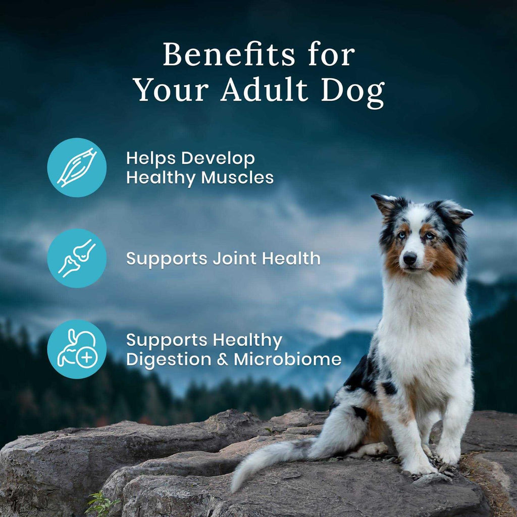 Chicken Dry Adult Dog Food G49554