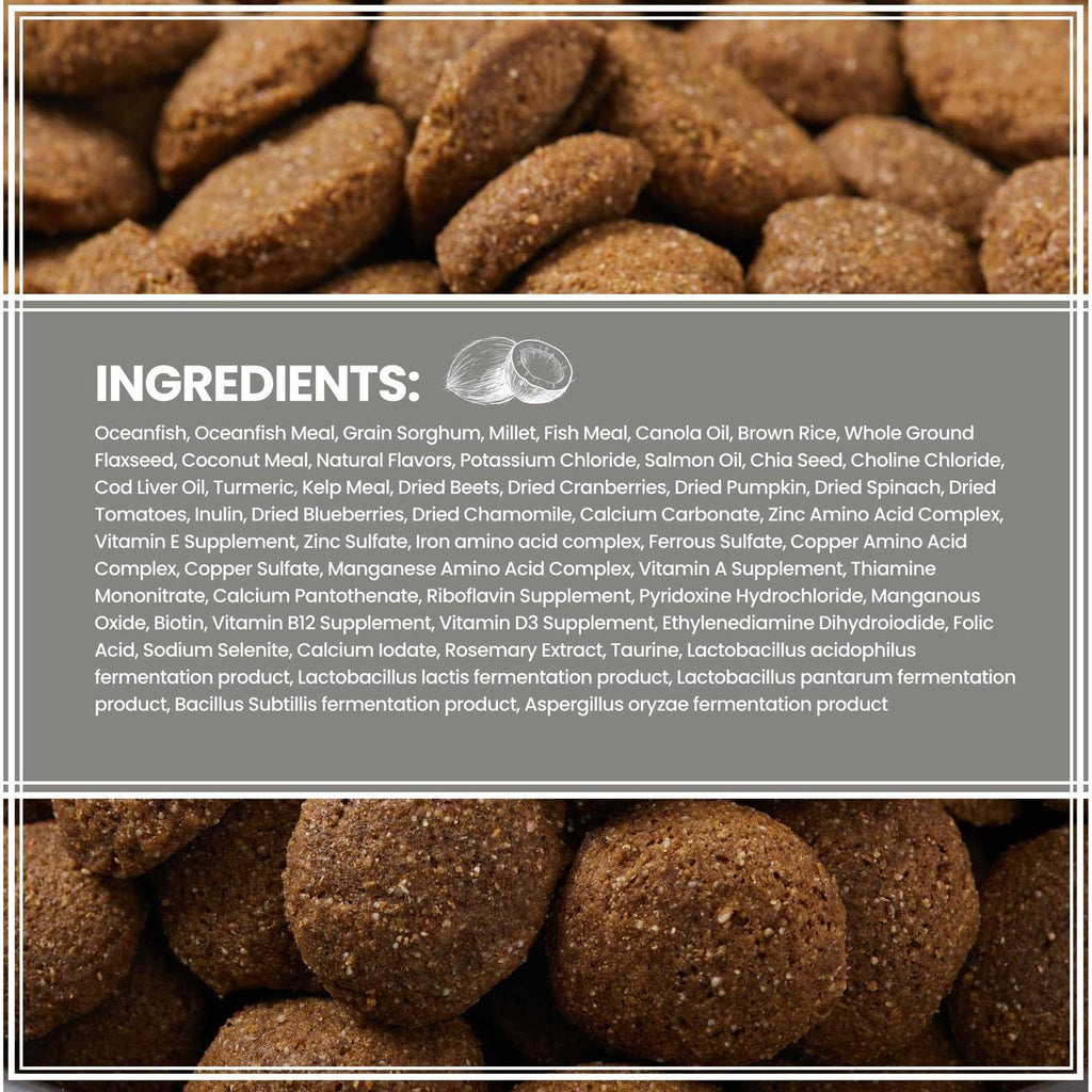 Ancient Grains with Ocean Fish Dog Food X12530
