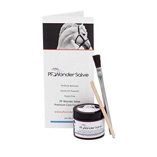 Equine Wound Paste 2 oz H98634