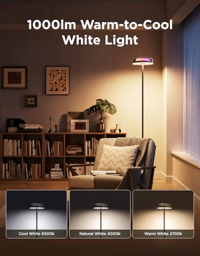 Floor Lamp with 215 ft² Light Area, 1000lm LED U57023