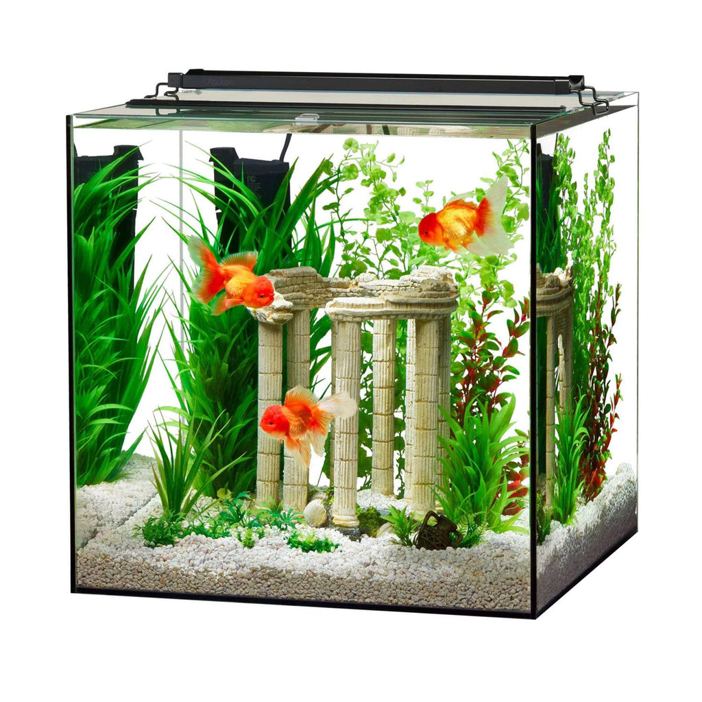 Frameless Cube Aquarium G949