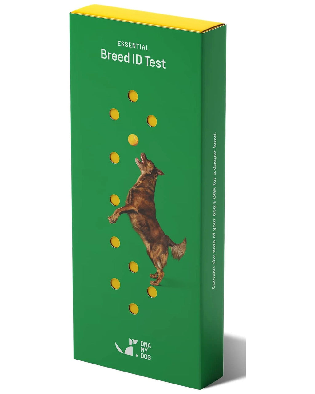 Dog Breed ID Testing Kit R954952
