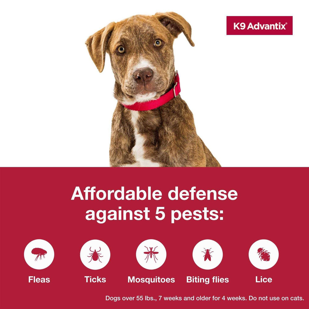 Flea Tick Mosquito Prevention for Extra Large Dogs O62668