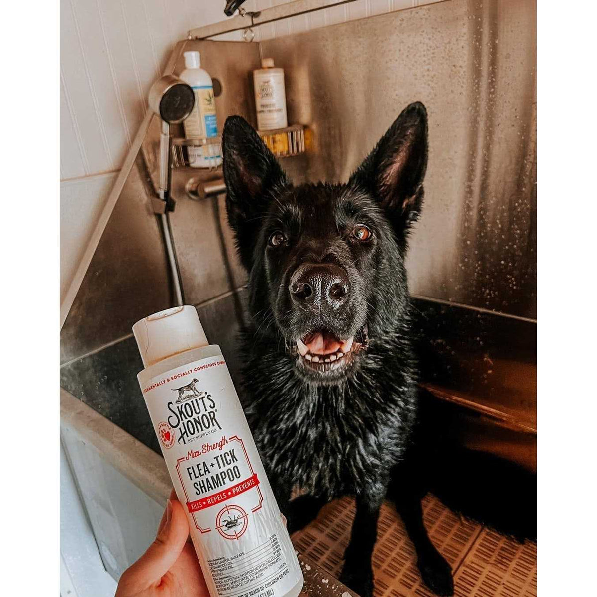 Flea & Tick Shampoo M427
