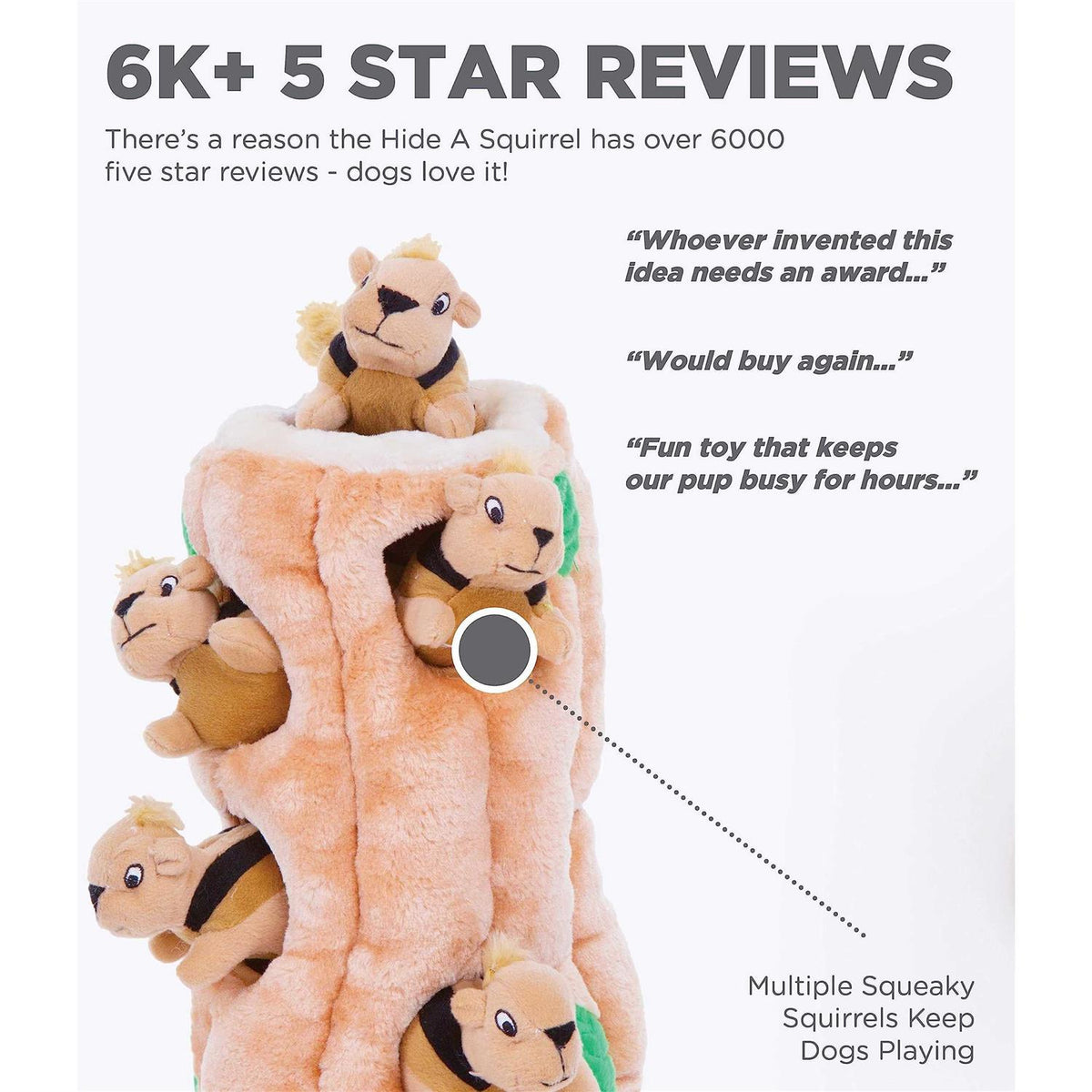 Hide A Squirrel Dog Toy N7996