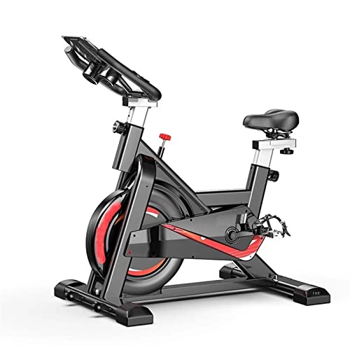 Indoor Exercise Bike N297267