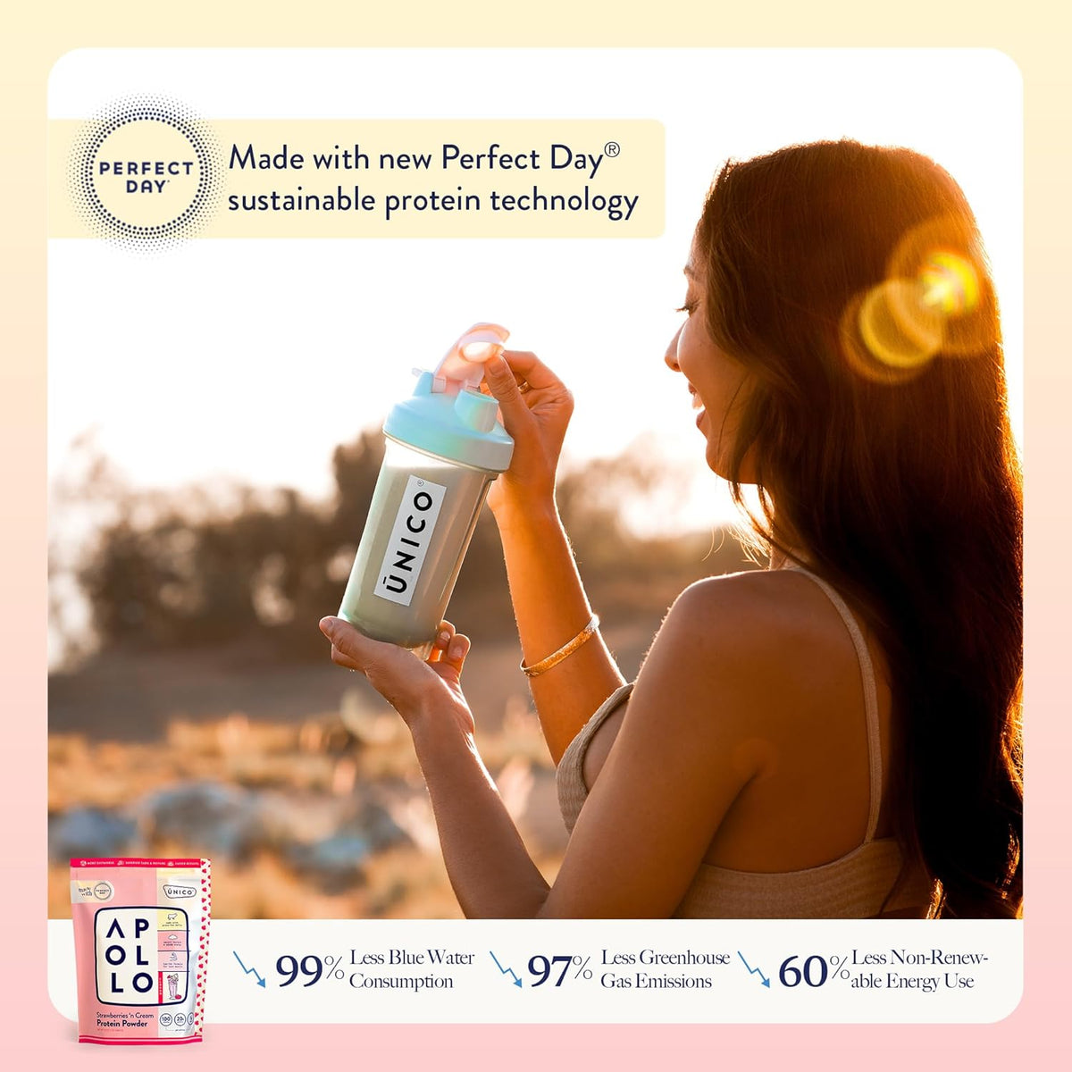 Strawberry Protein Powder E961