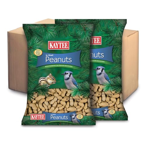 Two 5 Pound Bags Peanuts in Shell for Wild Birds P321