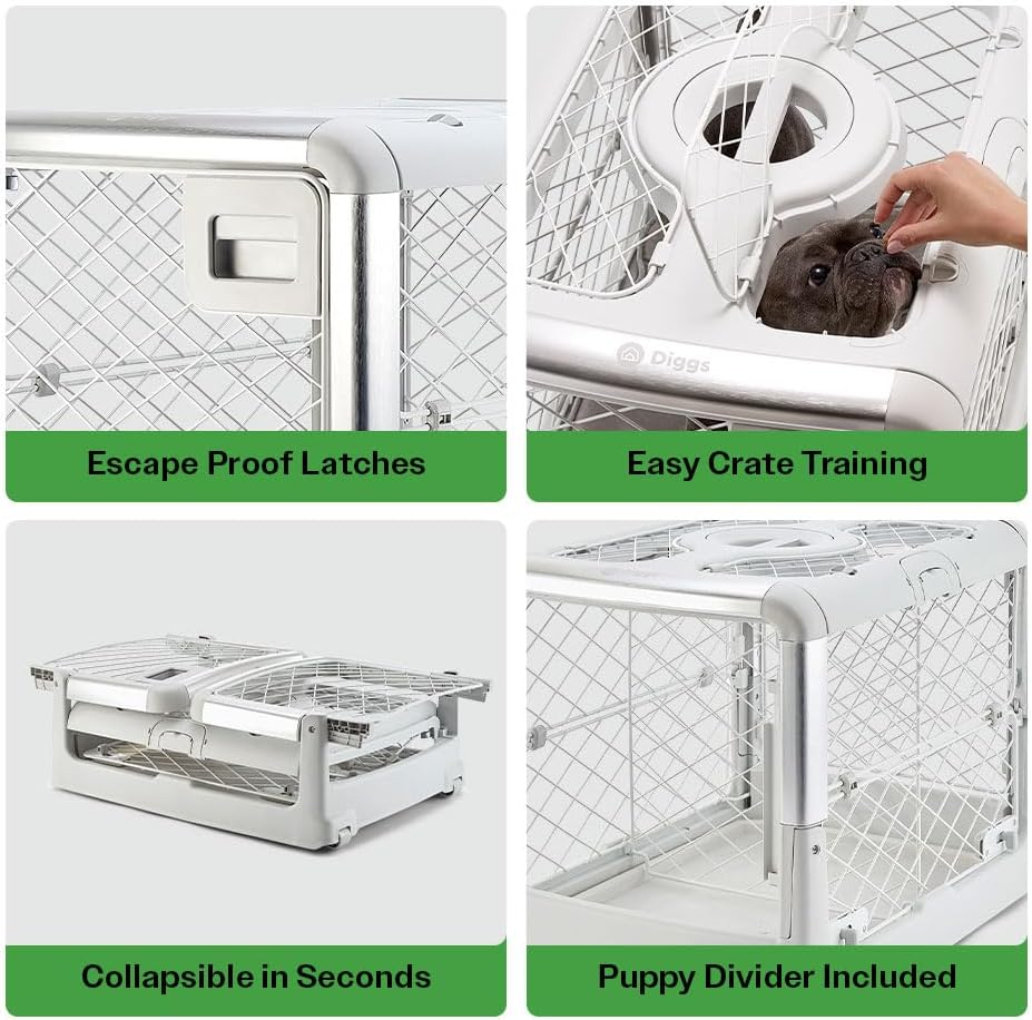 Collapsible Dog Crate (Ash) D893