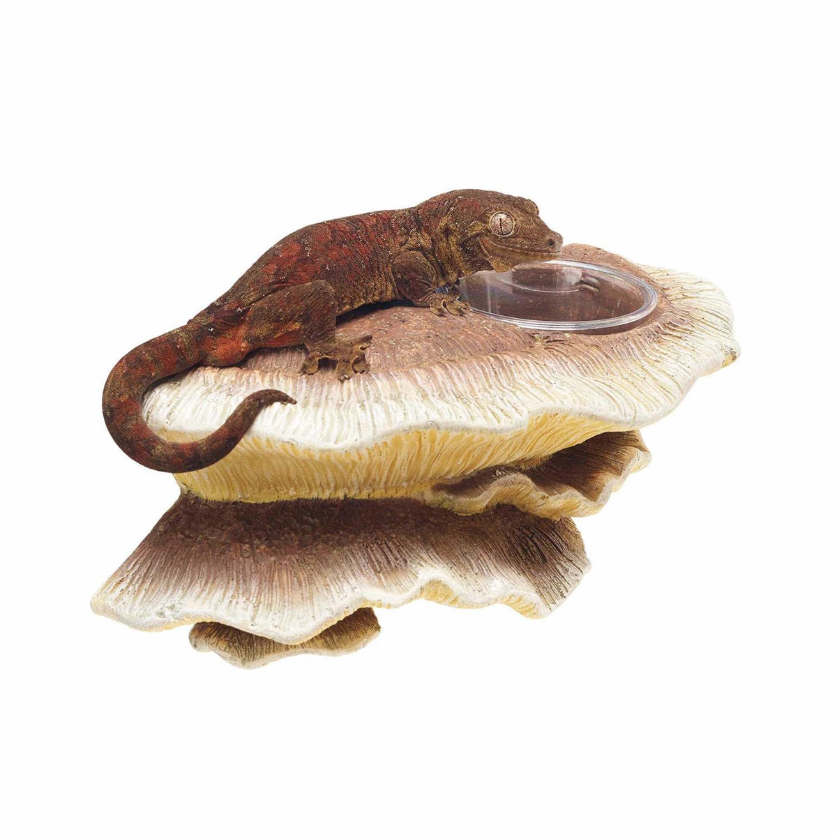 Vertical Mushroom Feeding Ledge S5494