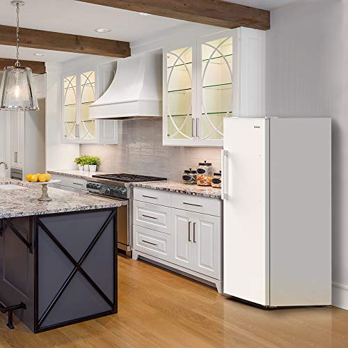 Convertible Freezer/Fridge R51082