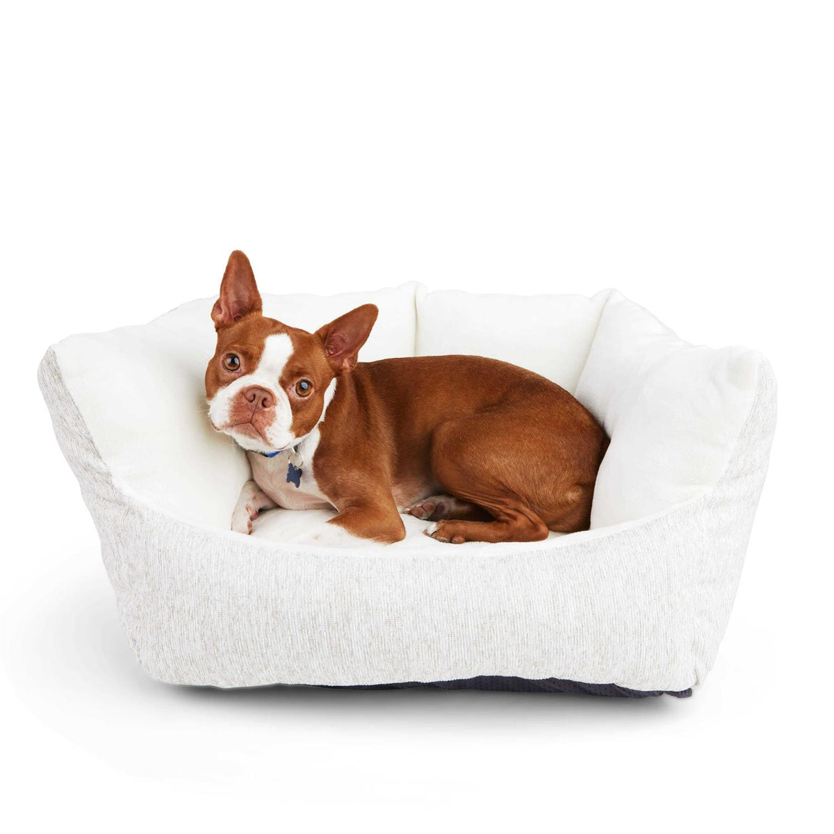 Orthopedic Dog Bed X532305