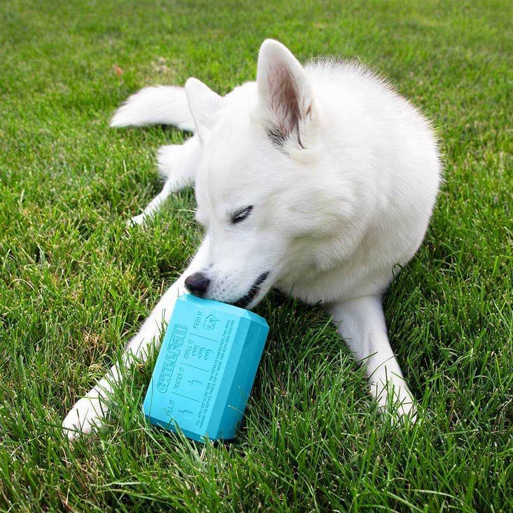 Dog Treat Toy S947118
