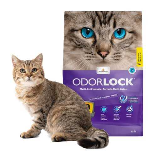Cat Litter R277722