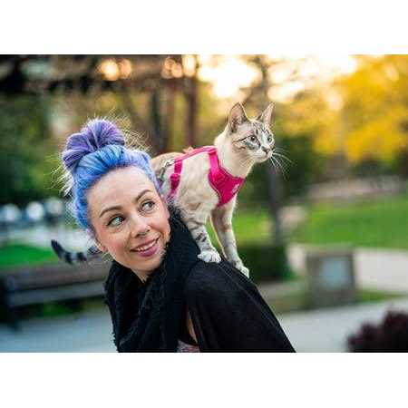 Cat Harness H81441