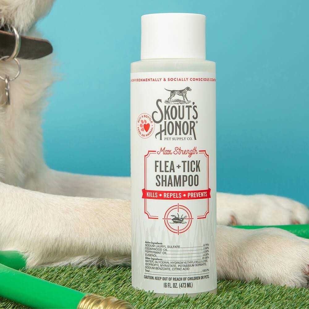 Flea & Tick Shampoo M427