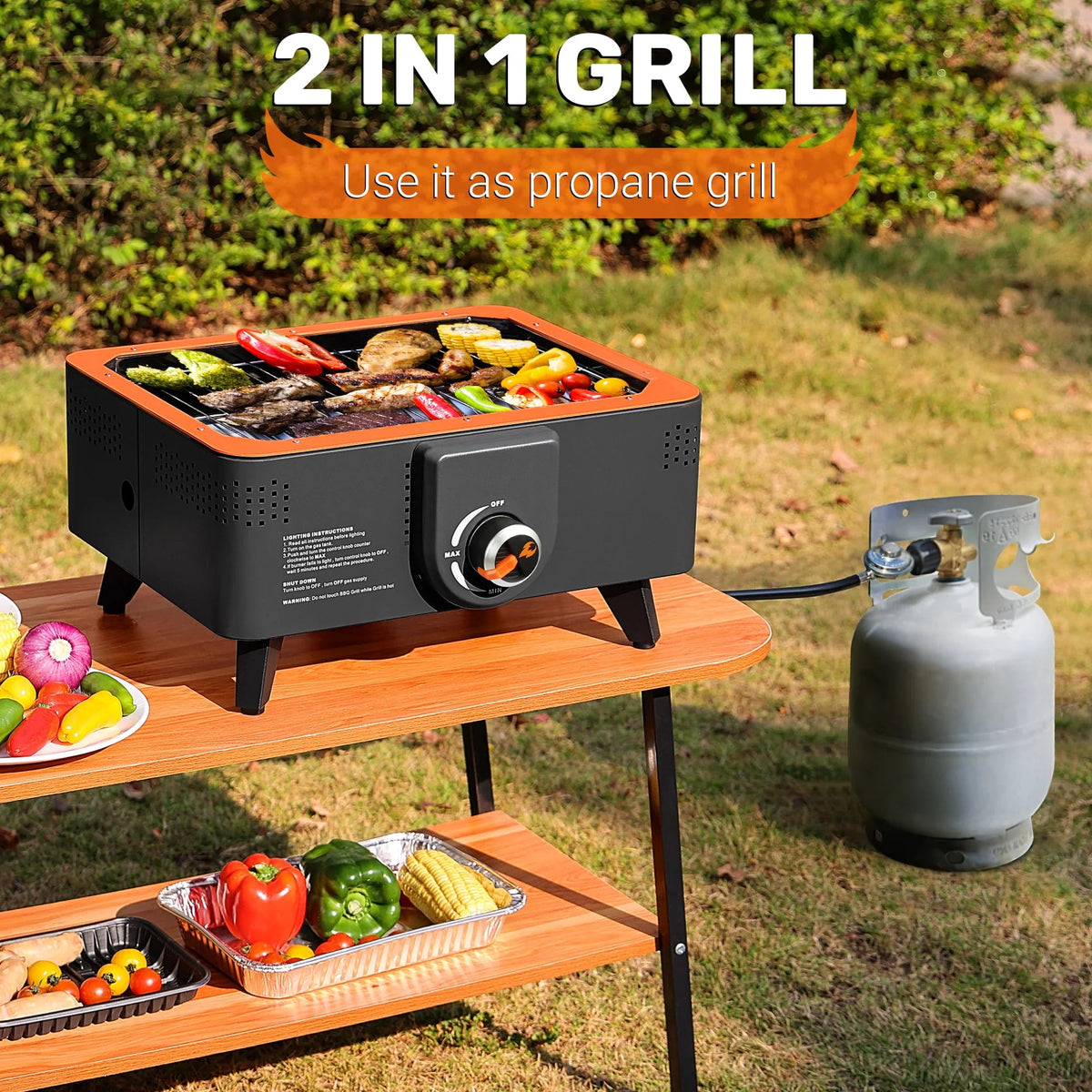 Portable Propane Grill with Gas Regulator & Adaptor G1248