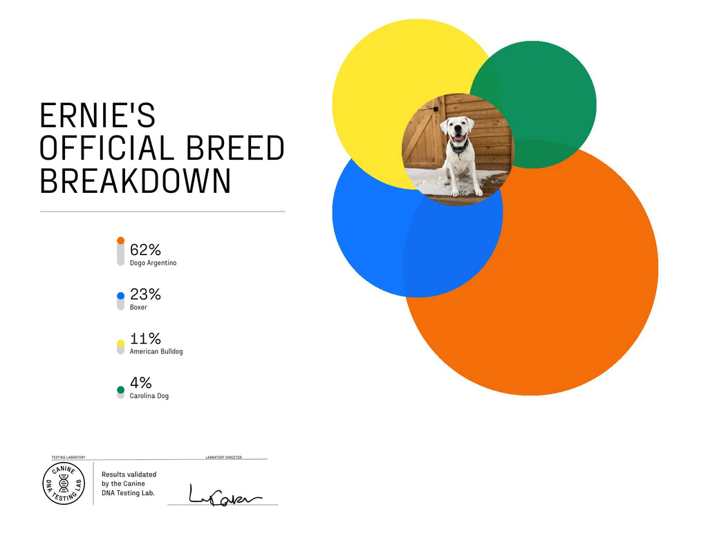 Dog Breed ID Testing Kit R954952