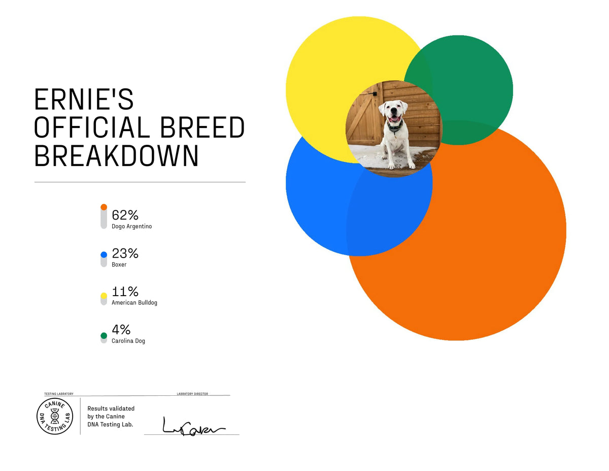 Dog Breed ID Testing Kit R954952
