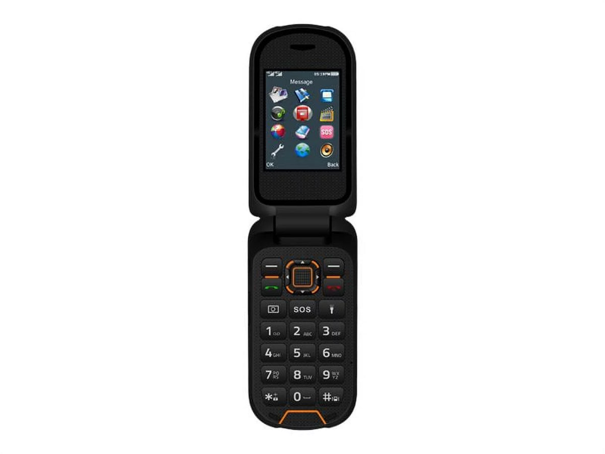 Feature Phone Dual-SIM 64 MB RAM 128 MB Internal Memory X885361