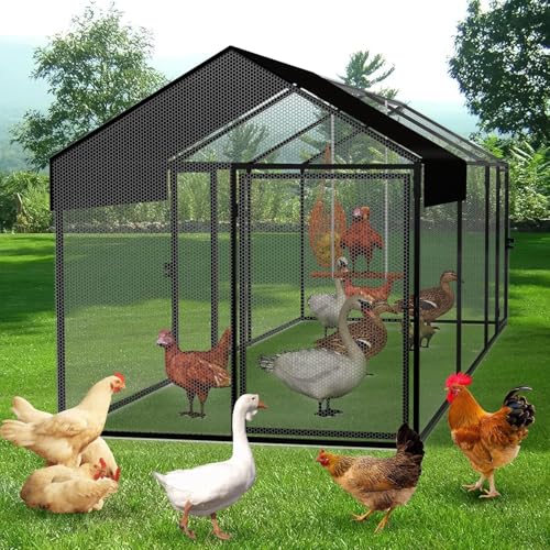 Large Metal Chicken Coop with Cover & Swing Y6573