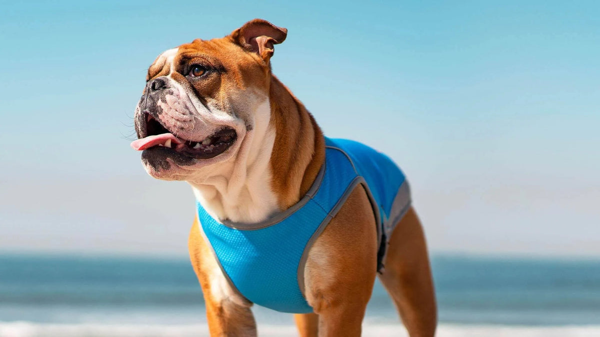 Aqua Cooling Vest Y44328