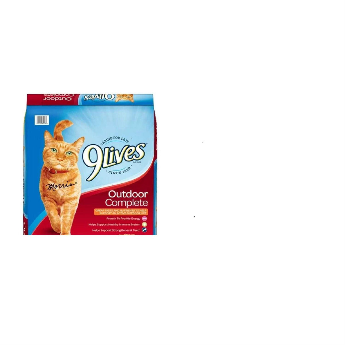 Outdoor Dry Cat Food B9787