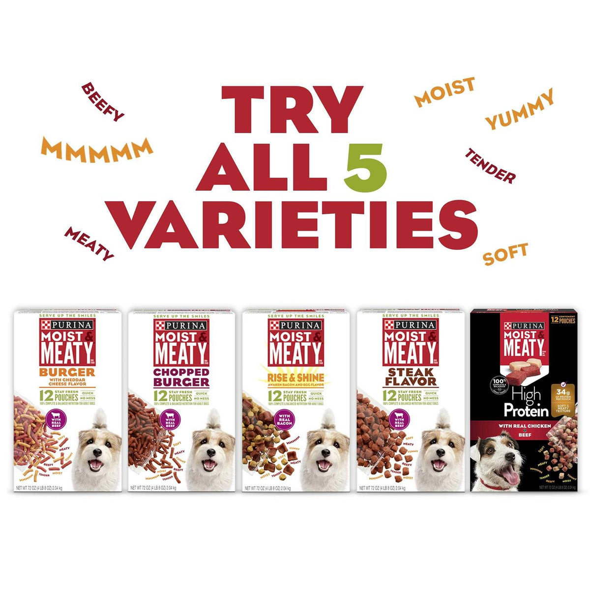 Steak Flavor Dry Dog Food H2403