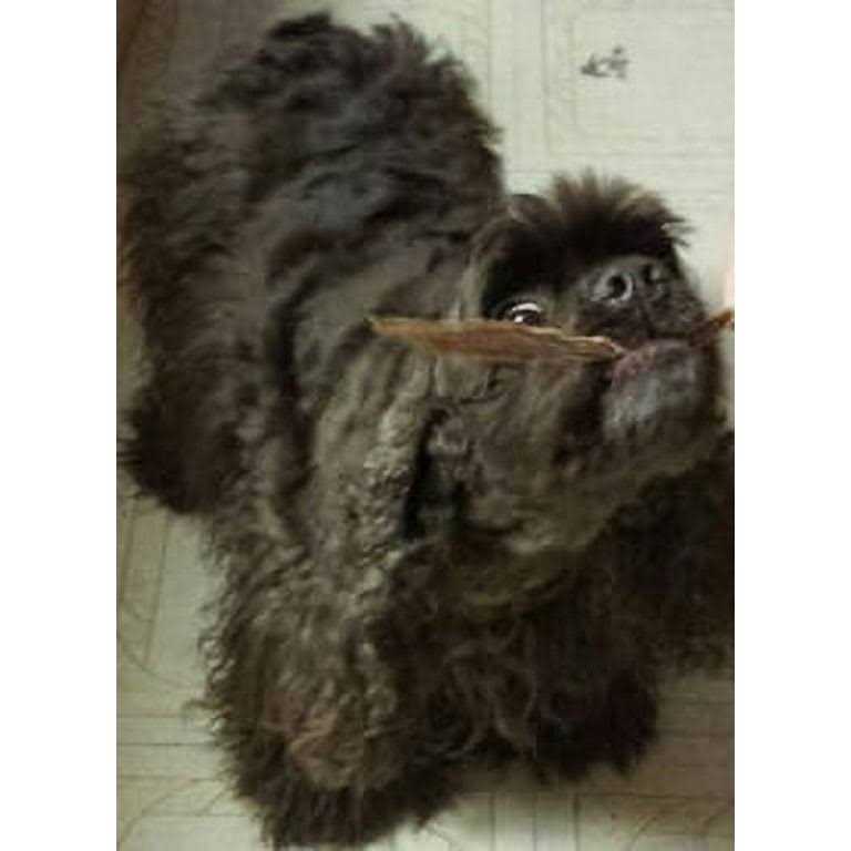 Duck Jerky Strips Q38311