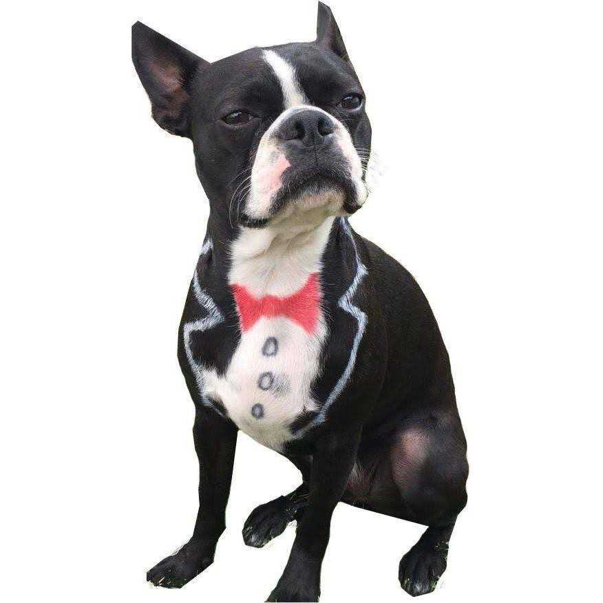 Pet Supplies K210081