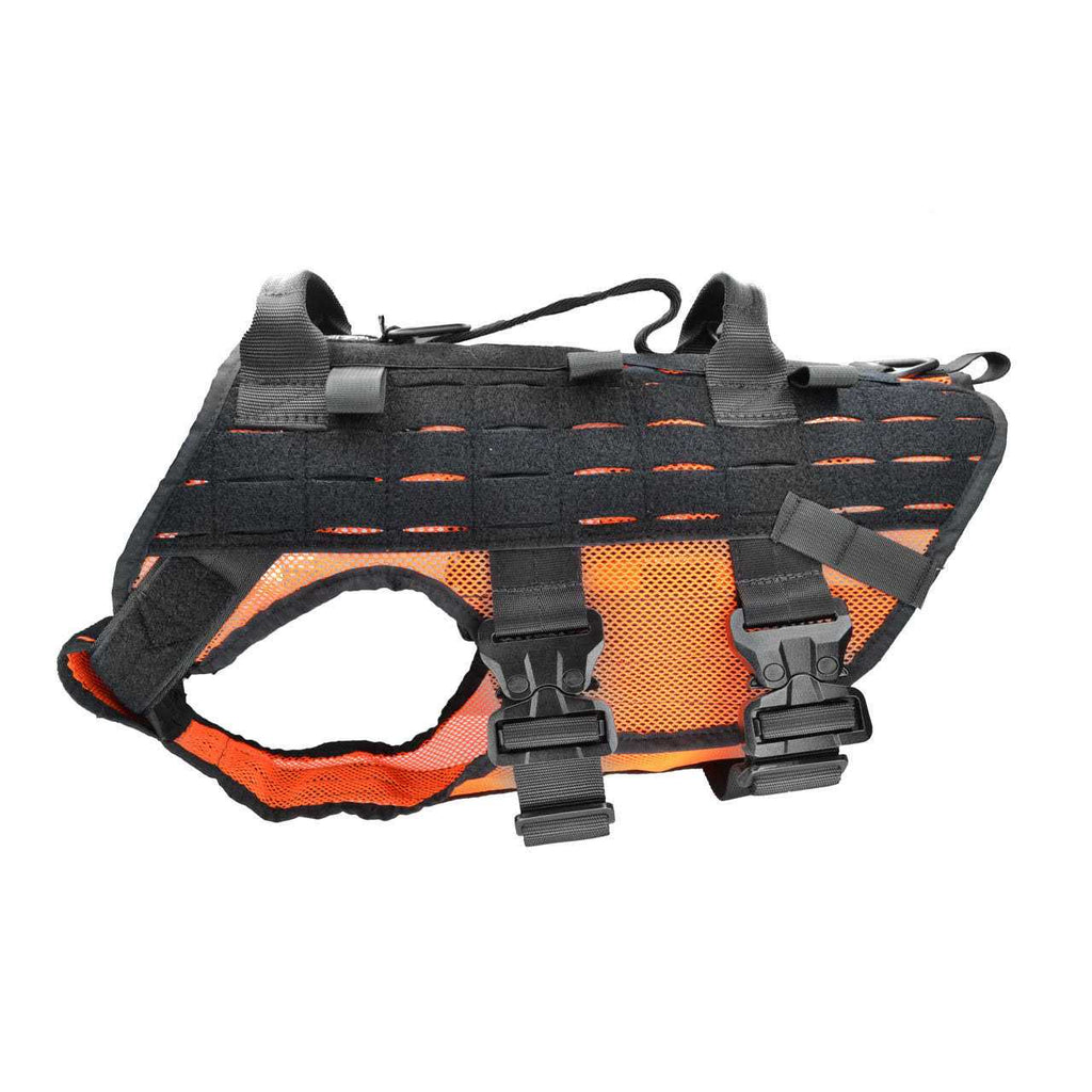 Harness O4869