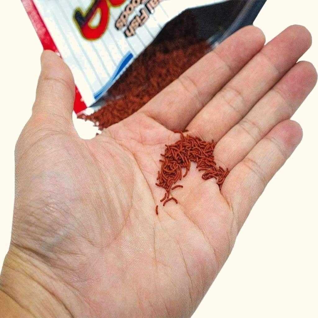 Tropical Fish Food K354142