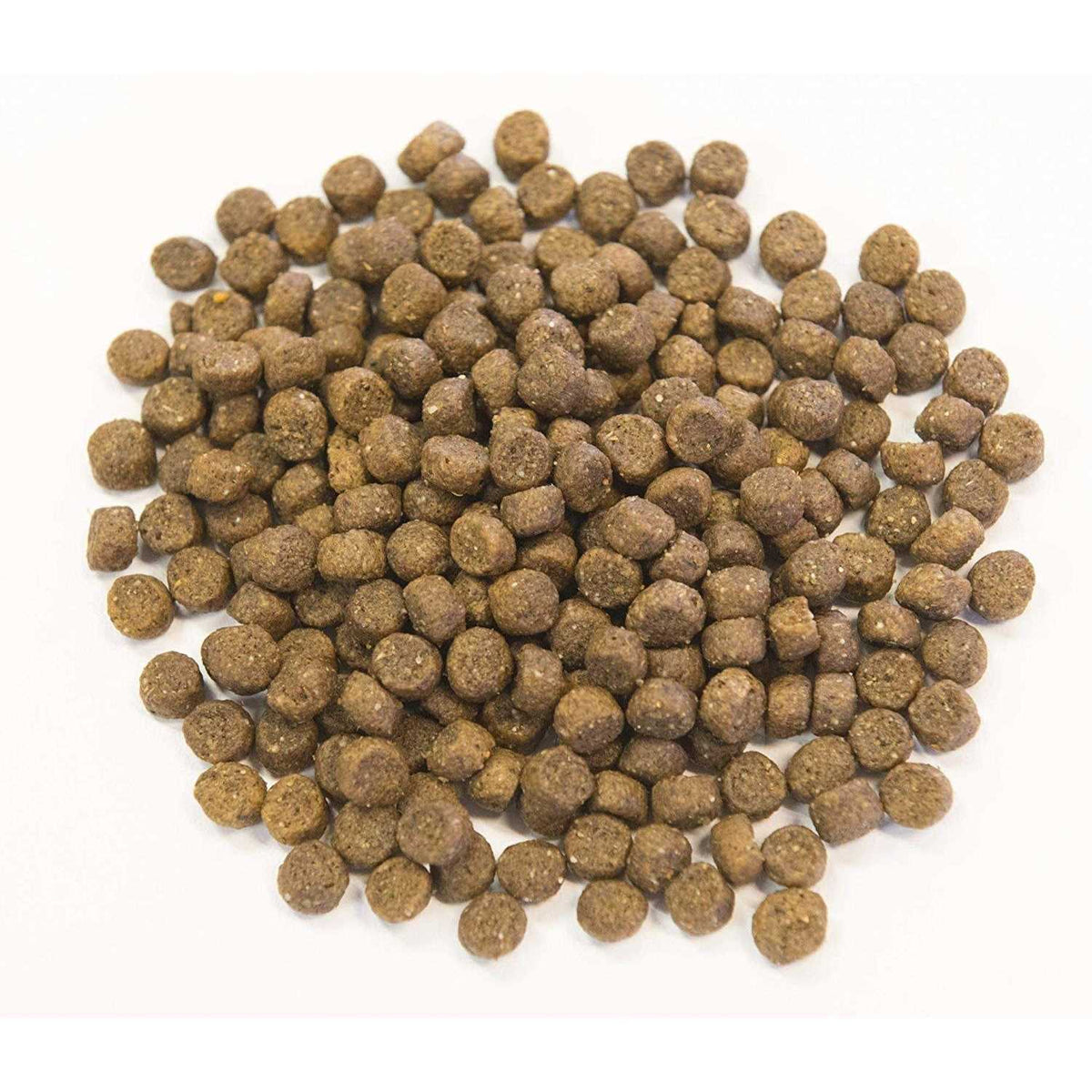 Ancient Grains with Ocean Fish Dog Food X12530