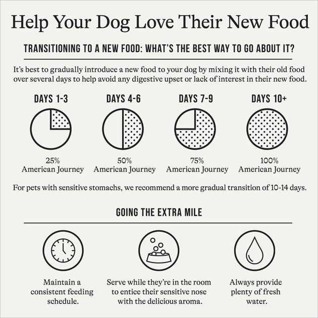 Brown Rice Protein Dry Dog Food Y304