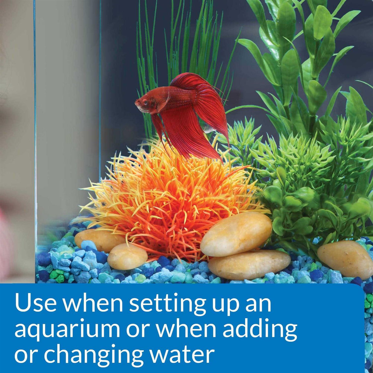 Betta Water Conditioner P8757