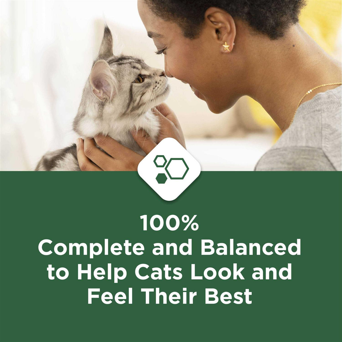 Indoor Dry Cat Food X623005