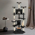 Black Cat Condo C888